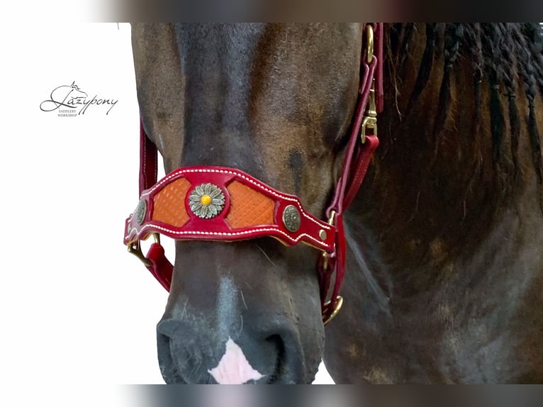 Muserola reemplazable Lazypony, replaceable noseband Lazypony for halters. 