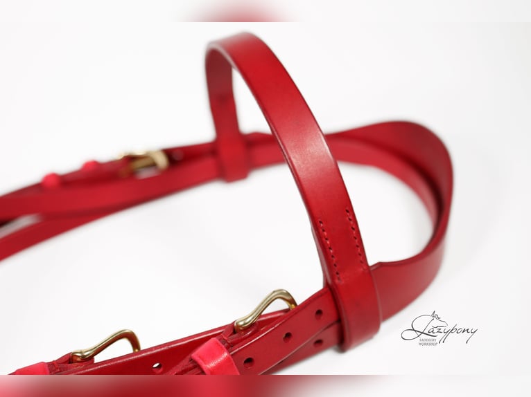 Cabezada inglesa Hunter Lazypony, cabezada de cuero,  Leather Hunter bridle Lazypony