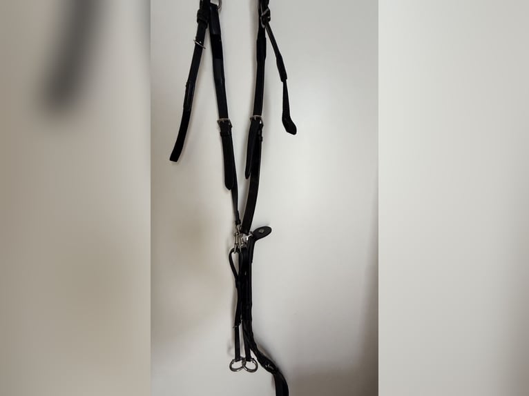 Breast plate Prestige
