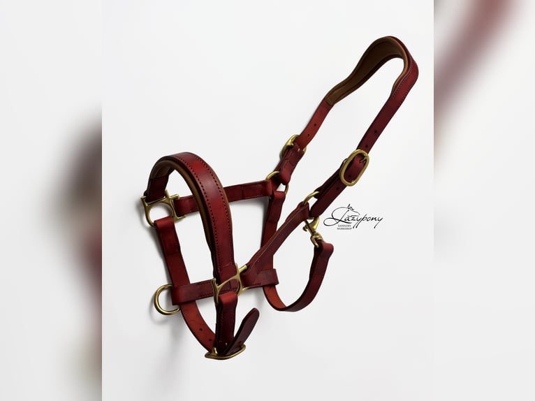 Anatomic leather horse halter Lazypony with two buckles, Cabezada cuadra anatómica Lazypony