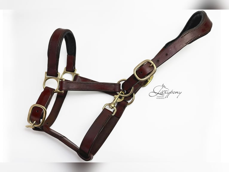 Anatomic leather horse halter Lazypony with two buckles, Cabezada cuadra anatómica Lazypony