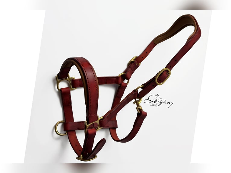 Anatomic leather horse halter Lazypony with two buckles, Cabezada cuadra anatómica Lazypony