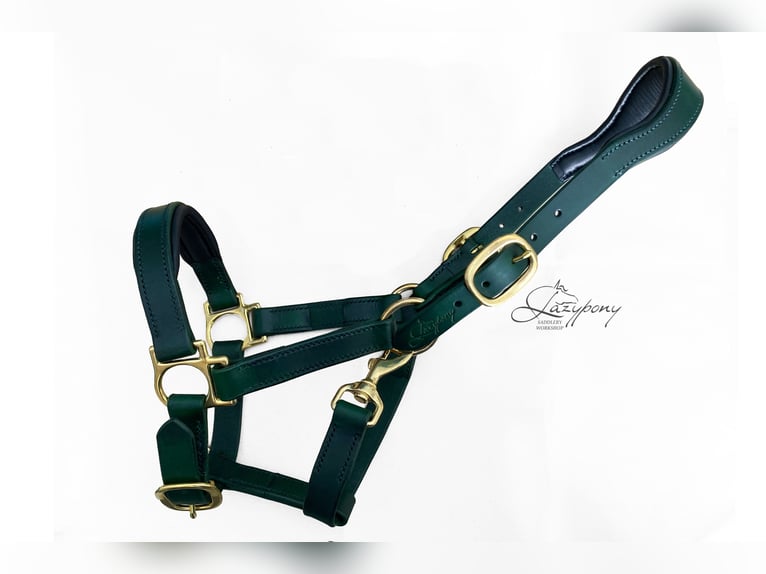 Anatomic leather horse halter Lazypony with two buckles, Cabezada cuadra anatómica Lazypony