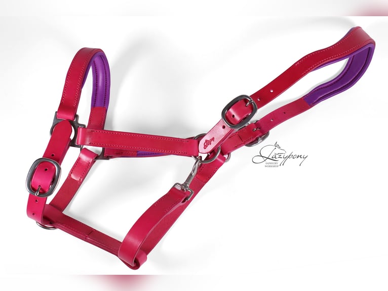 Anatomic leather horse halter Lazypony with two buckles, Cabezada cuadra anatómica Lazypony