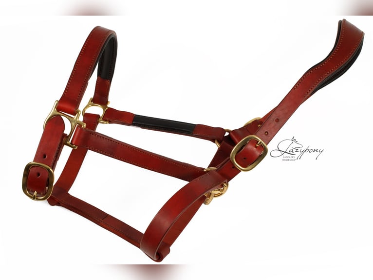 Anatomic leather horse halter Lazypony with two buckles, Cabezada cuadra anatómica Lazypony