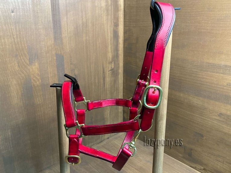 Anatomic leather horse halter Lazypony with two buckles, Cabezada cuadra anatómica Lazypony