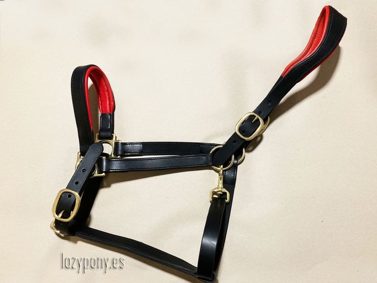 Anatomic leather horse halter Lazypony with two buckles, Cabezada cuadra anatómica Lazypony