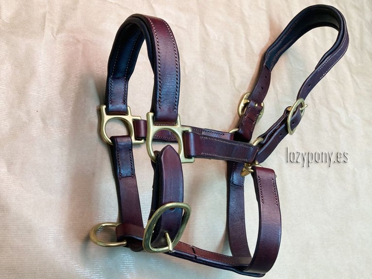 Anatomic leather horse halter Lazypony with two buckles, Cabezada cuadra anatómica Lazypony