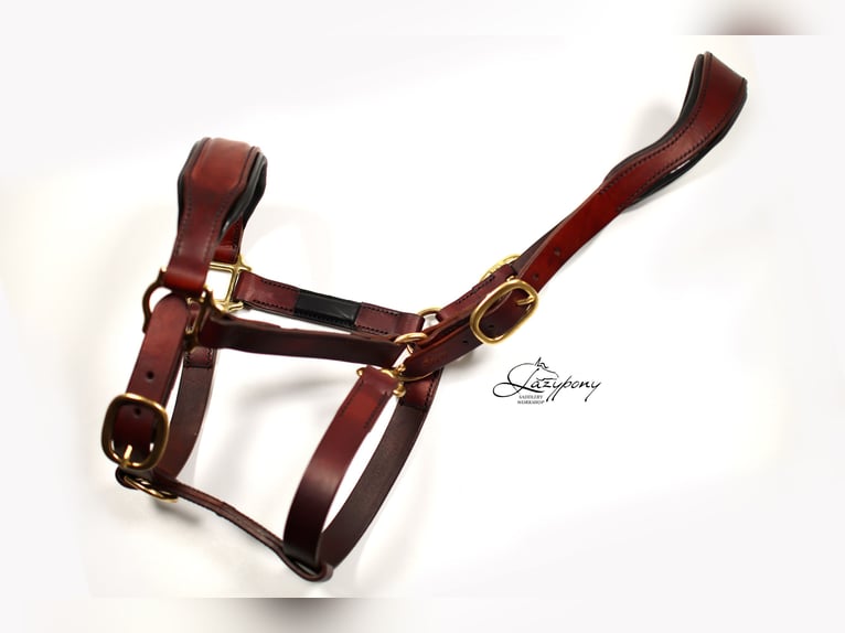 Cabezada de сuadra de cuero premium Classic Lazypony/ Patent leather premium halter Lazypony