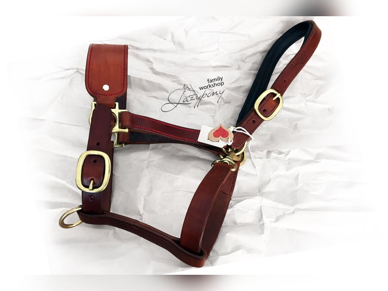 Leather horse halter Lazypony, cabezada de cuedra de cuero Lazypony, custom headcollar