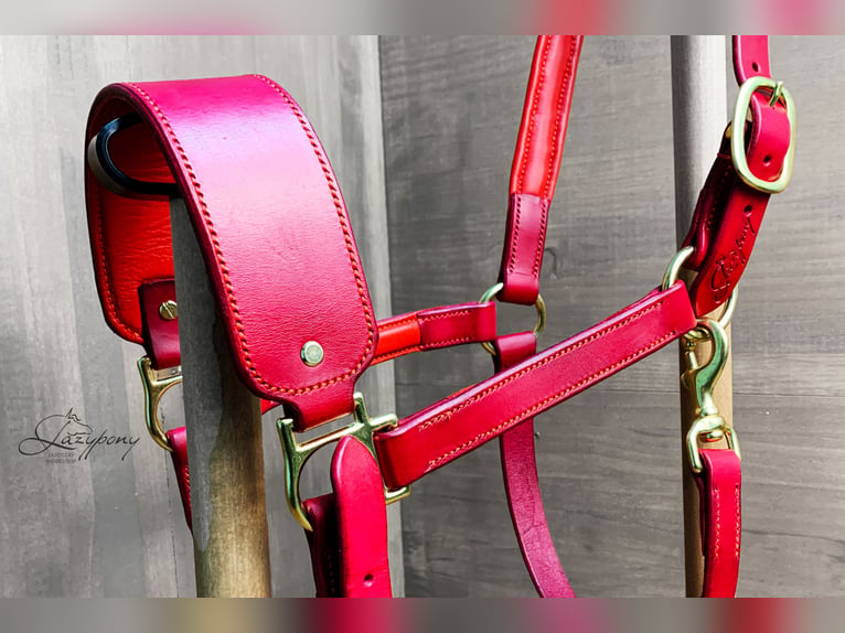 Leather horse halter Lazypony, cabezada de cuedra de cuero Lazypony, custom headcollar