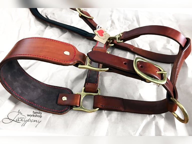 Leather horse halter Lazypony, cabezada de cuedra de cuero Lazypony, custom headcollar