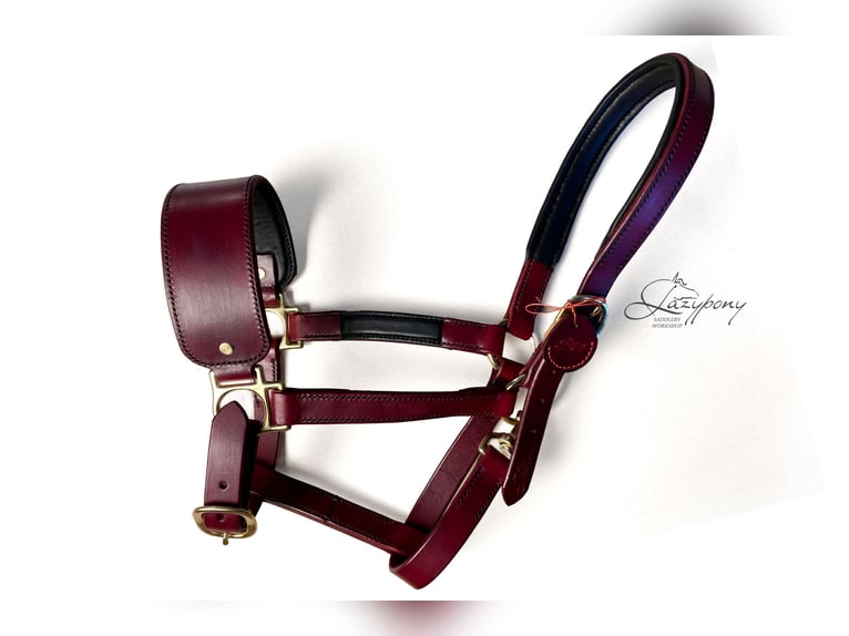 Leather horse halter Lazypony, cabezada de cuedra de cuero Lazypony, custom headcollar