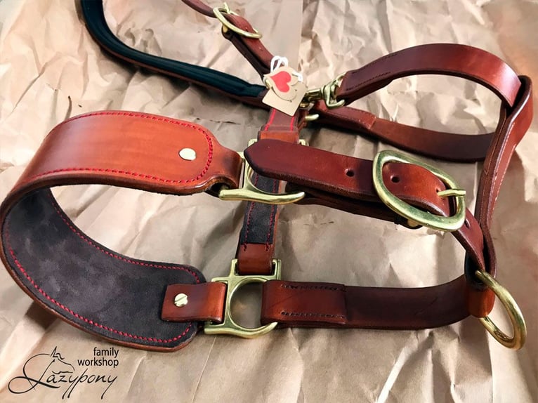 Leather horse halter Lazypony, cabezada de cuedra de cuero Lazypony, custom headcollar