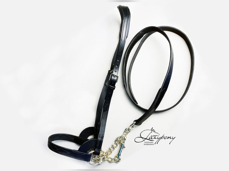 Show halter with embroidery Lazypony, Cabezadas de Presentacion Lazypony