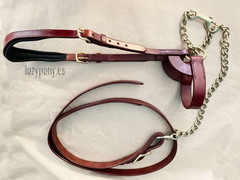 Show halter with embroidery Lazypony, Cabezadas de Presentacion Lazypony