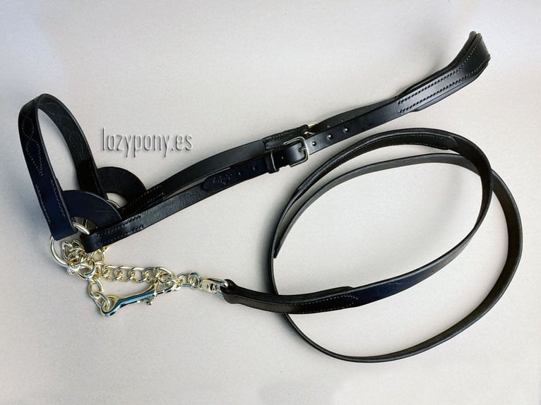 Show halter with embroidery Lazypony, Cabezadas de Presentacion Lazypony