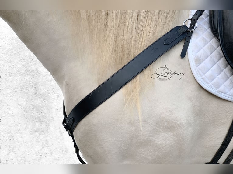 Pechopetral western Lazypony , Leather western breastplate Lazypony Pechopetral western Lazypony , Leather western breastplate Lazypony