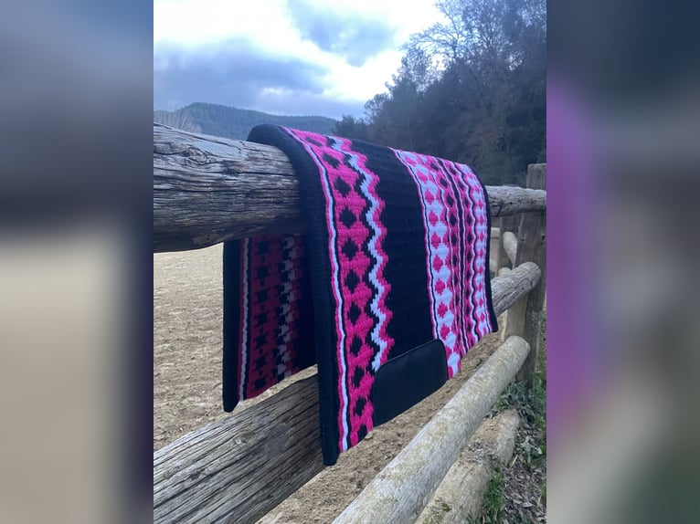 Silla Western Pool's Reiner Genuine Flow
