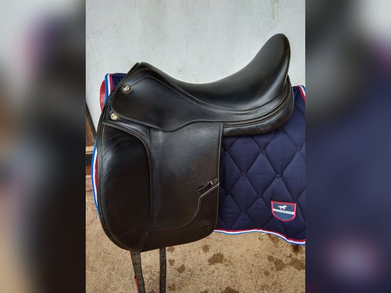 Silla doma clasica