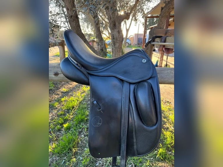 Montura de doma DON RODRIGO