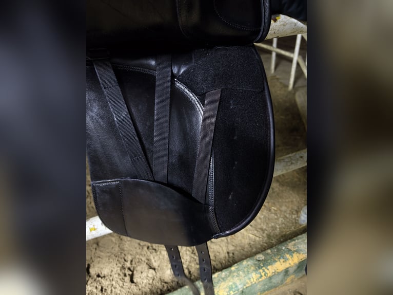 Montura de doma Equiline