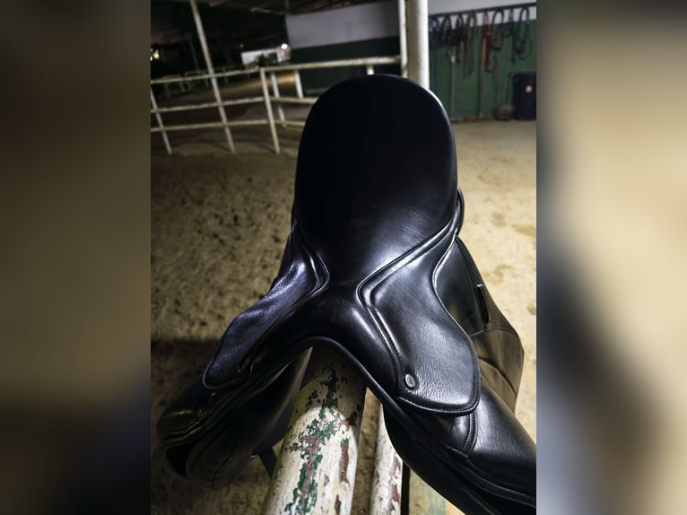 Montura de doma Equiline