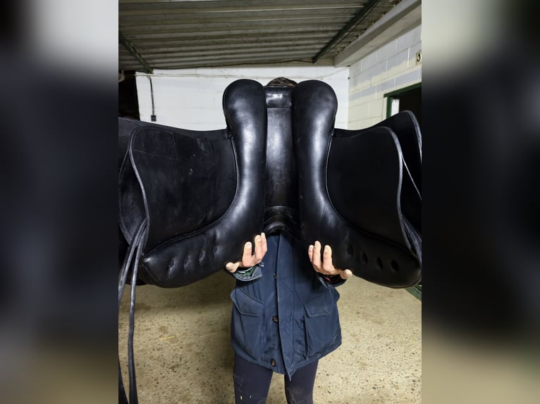 Montura de doma Equiline