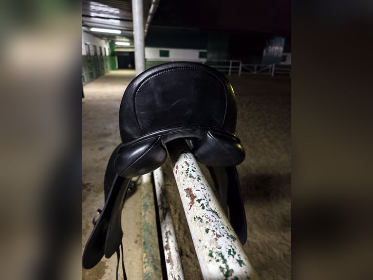 Montura de doma Equiline