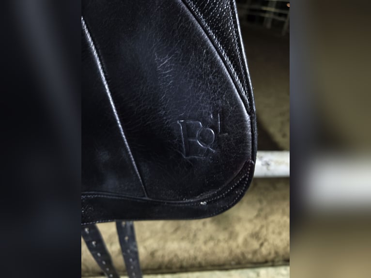 Montura de doma Equiline