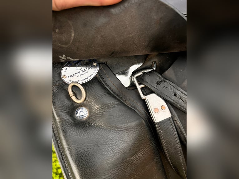 Montura de Doma Frank Bains