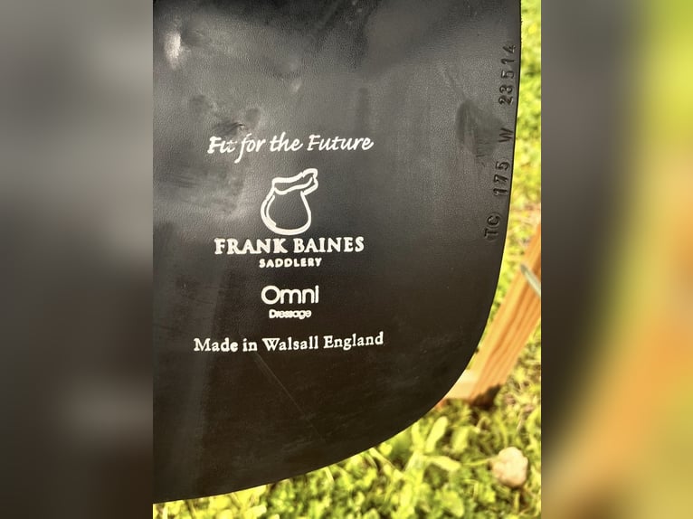 Montura de Doma Frank Bains