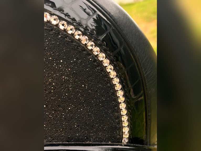 Montura de Doma Frank Bains