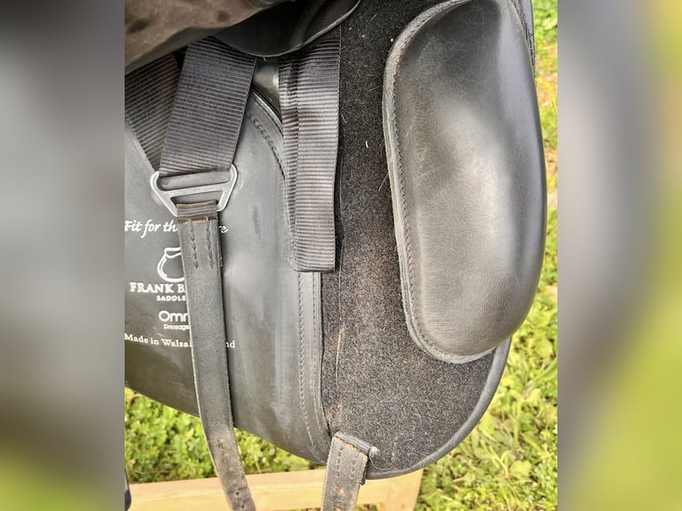 Montura de Doma Frank Bains