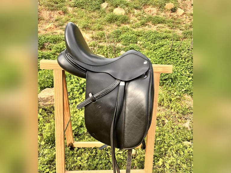 Montura de Doma Frank Bains