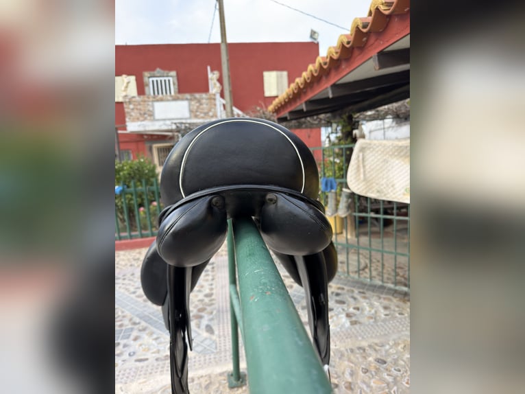 Montura doma clásica marca Zms