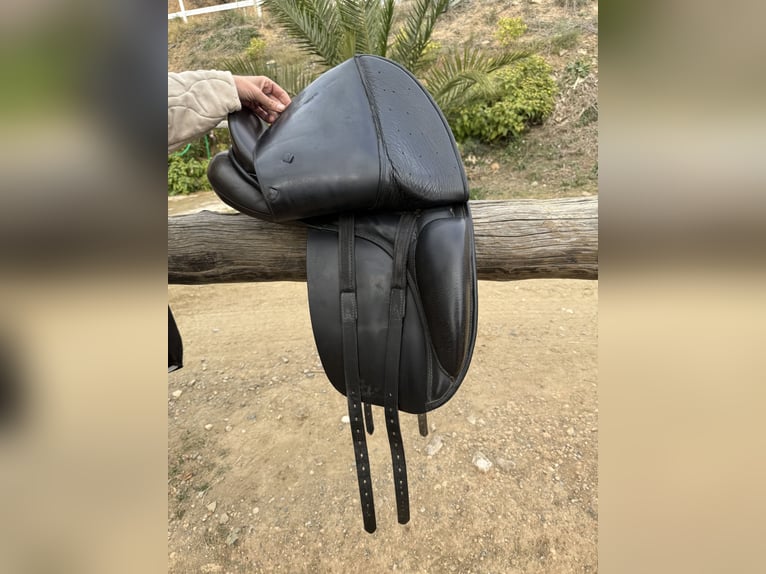 Montura doma Don Rodrigo 17”