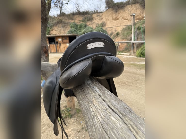 Montura doma Don Rodrigo 17”