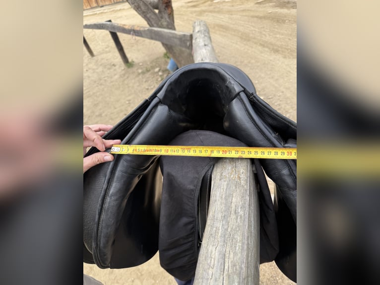 Montura doma Don Rodrigo 17”