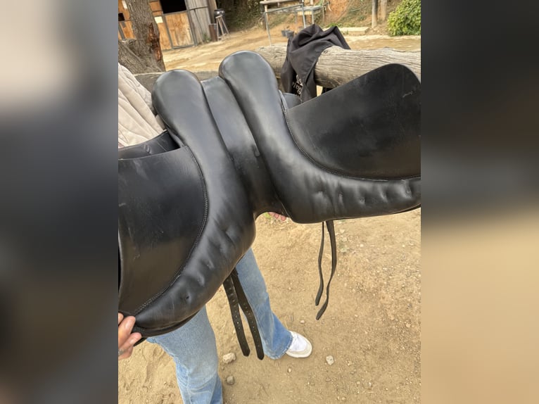 Montura doma Don Rodrigo 17”