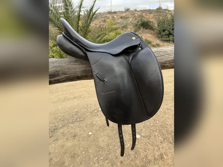 Montura doma Don Rodrigo 17”