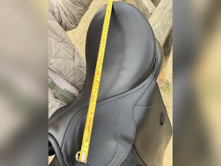 Montura doma Don Rodrigo 17”