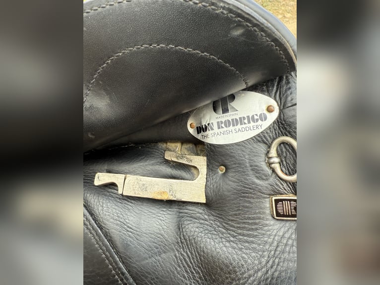 Montura doma Don Rodrigo 17”