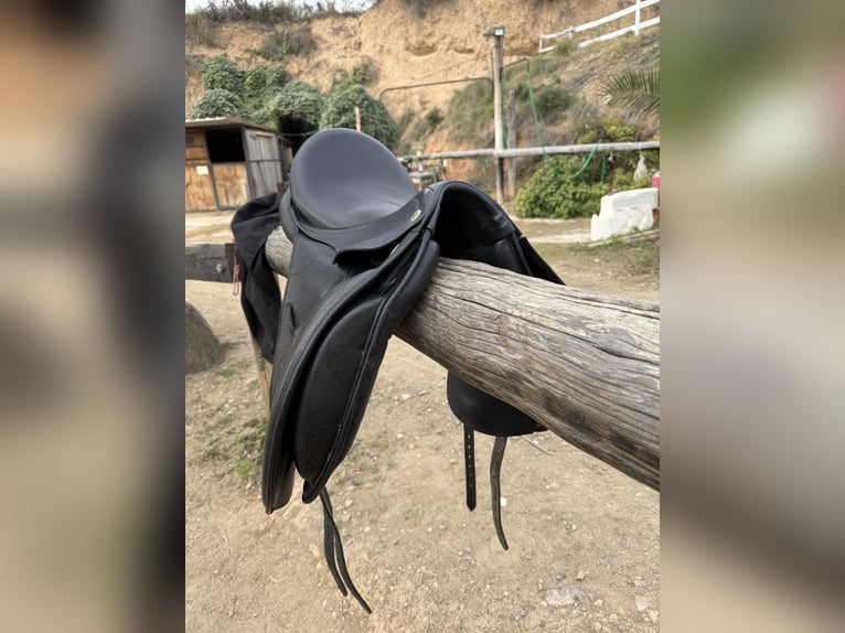 Montura doma Don Rodrigo 17”