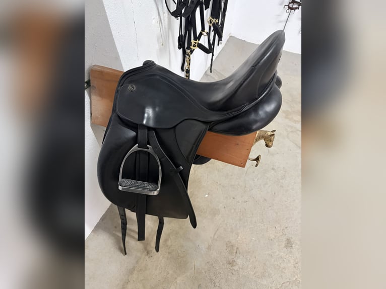 Montura Excellent KIEFFER