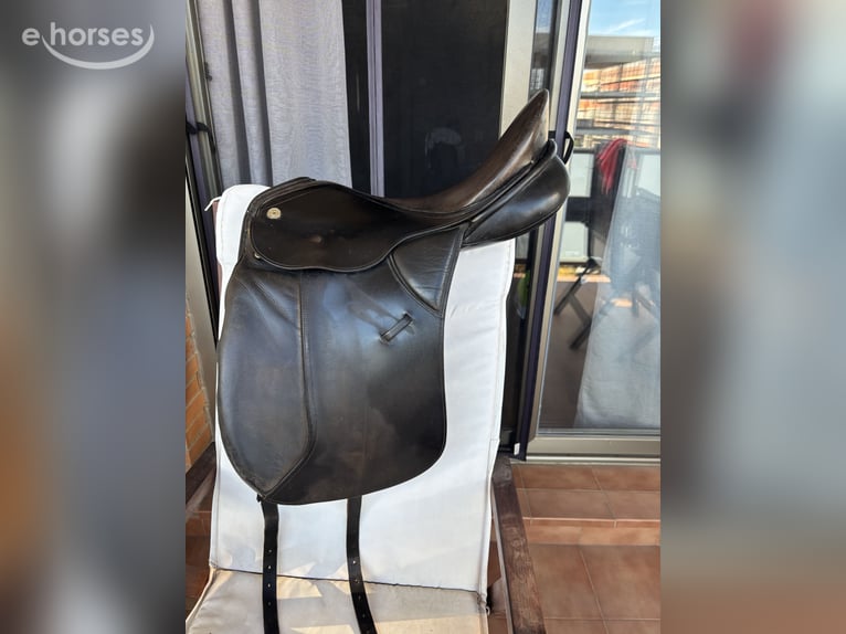Montura kieffer
