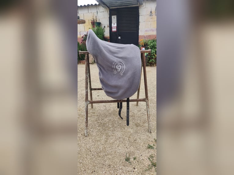 Montura Otto Schumacher muy cuidada