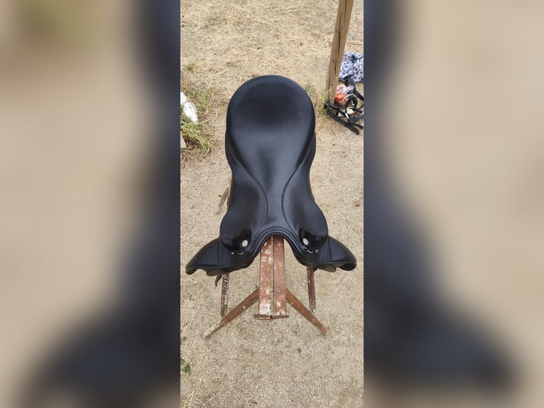 Montura Otto Schumacher muy cuidada