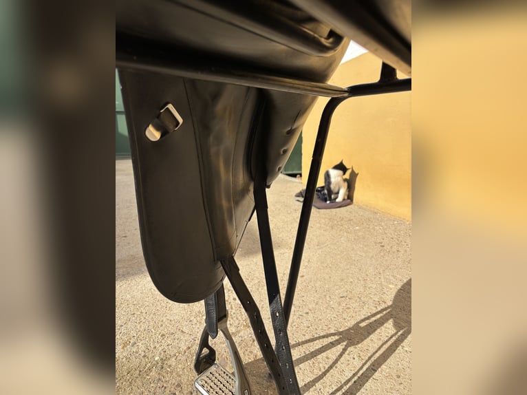 Silla Doma Bates Innova Mono +