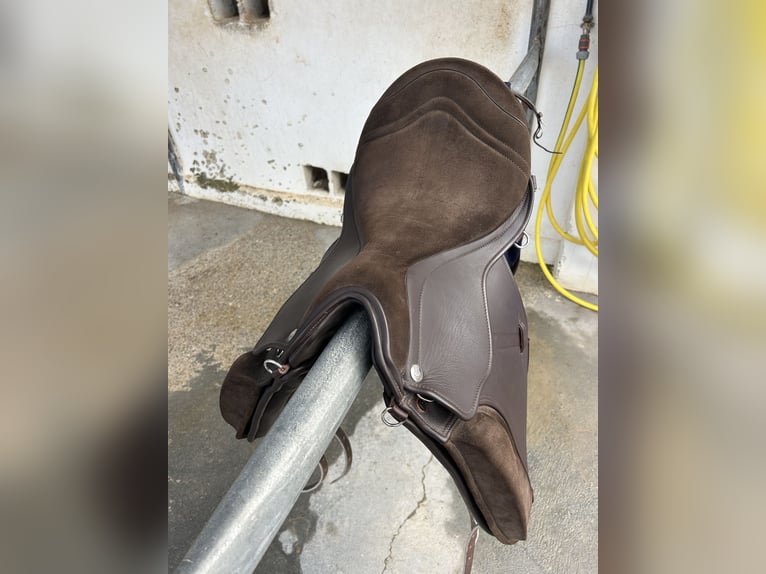 Zaldi New Kent 2G 17’5